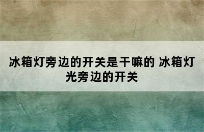 冰箱灯旁边的开关是干嘛的 冰箱灯光旁边的开关